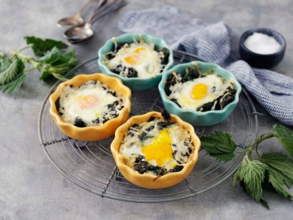 Cocotter med nässlor, parmesan och ägg