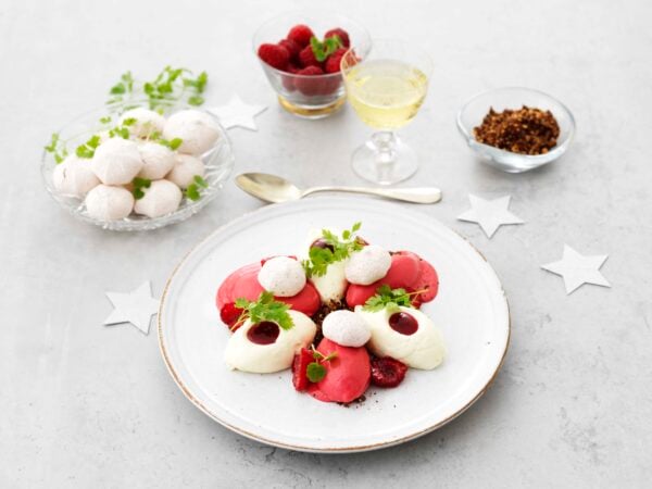 Yoghurtmousse med hallonsorbet, maräng och chokladsmul