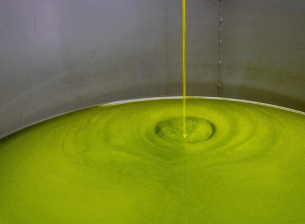 Hur ska olivolja förvaras