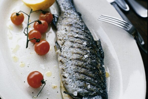 Grillad regnbågsforell